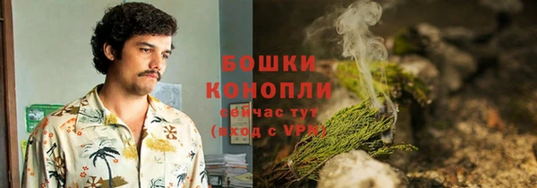 тгк Лагань