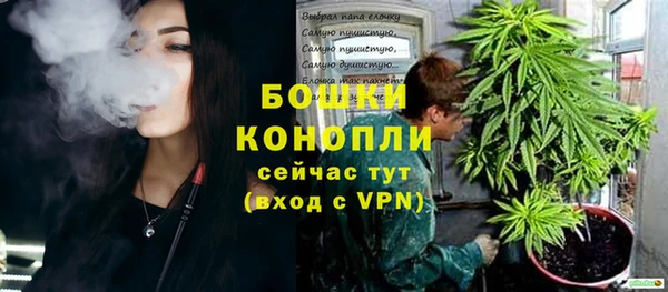 мдпв Одинцово