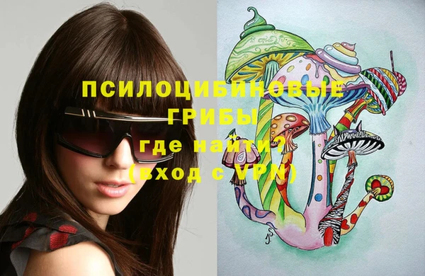 гидра Лабытнанги