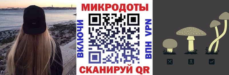 купить  цена  Кочубеевское  Галлюциногенные грибы MAGIC MUSHROOMS 